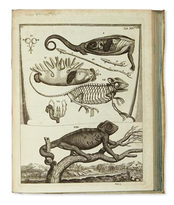MEDICINE  BLAES or BLASIUS, GERARD. Anatome animalium.  1681